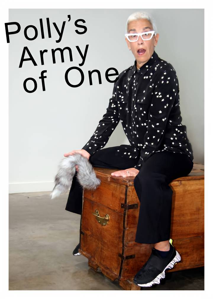 Photo of Patti Dobrowolski for Polly's Army of One flyer
